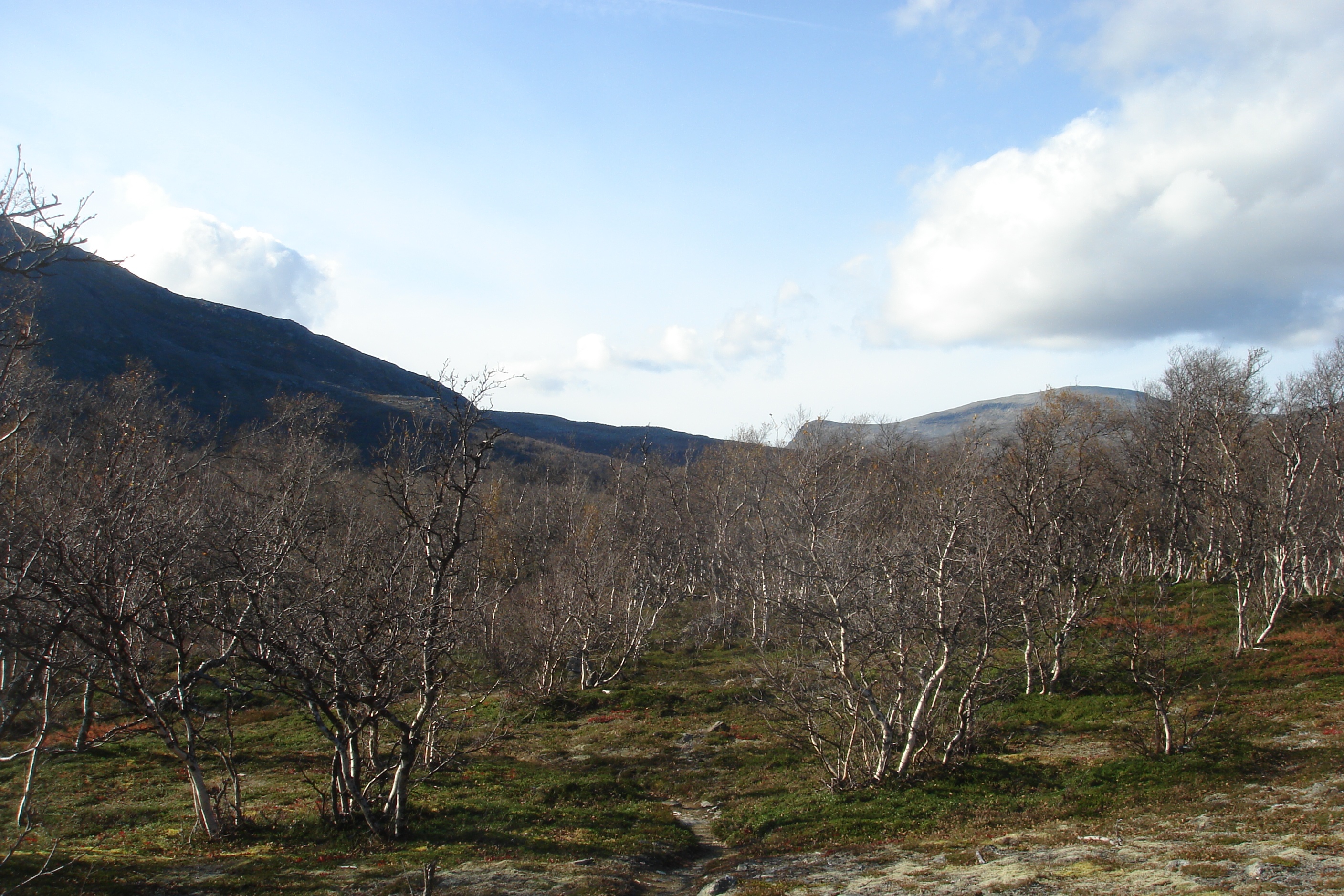 Höstvandring -11 065.JPG