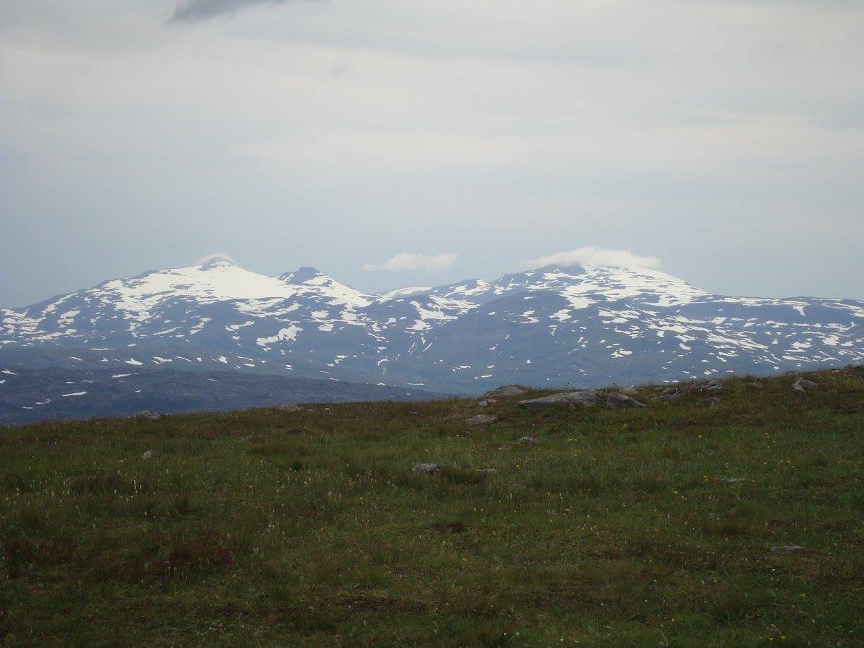 IMG_0190.jpeg