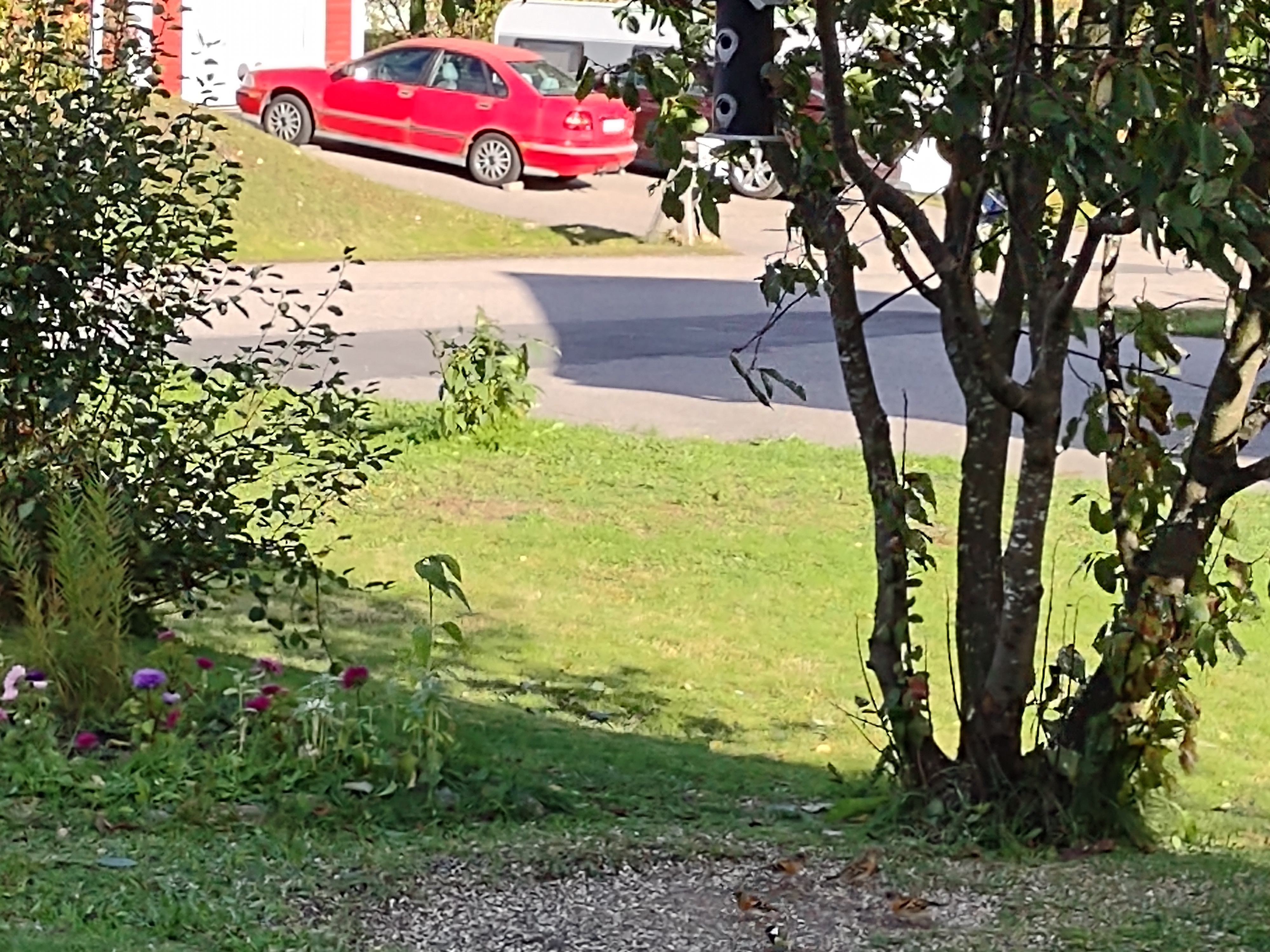 IMG_20200922_134318512.jpg