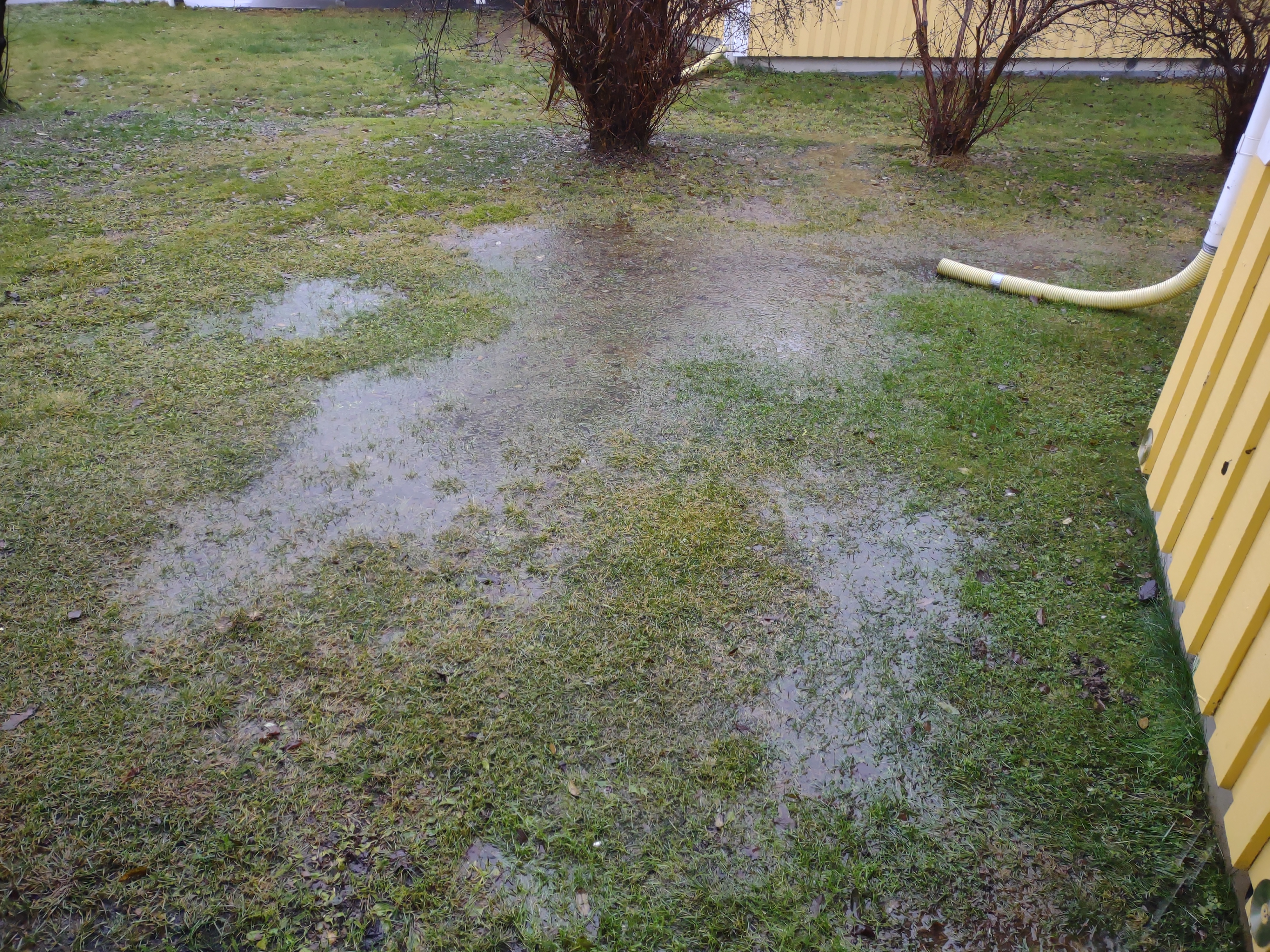 IMG_20201102_122915118.jpg