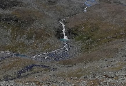 IMG_20210815_140357.jpg