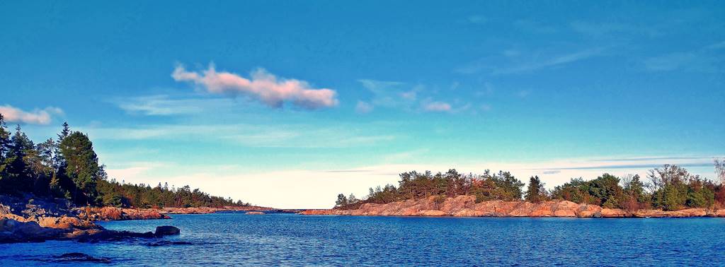 IMG_20221030_133246184_HDR.jpg