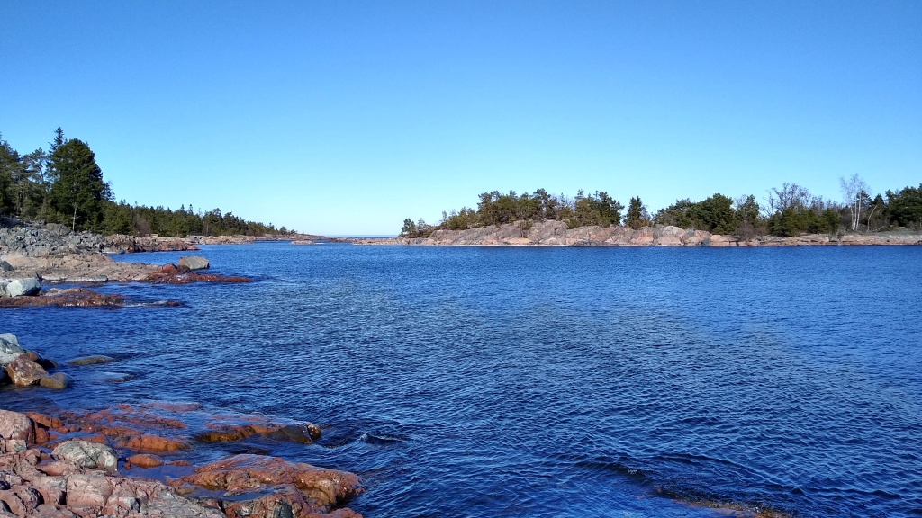 IMG_20240330_133929672_HDR.jpg