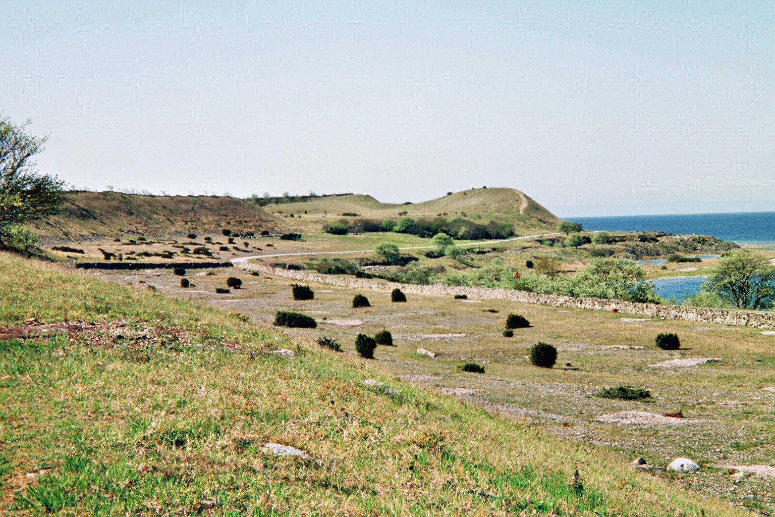 imm024_N24.jpg