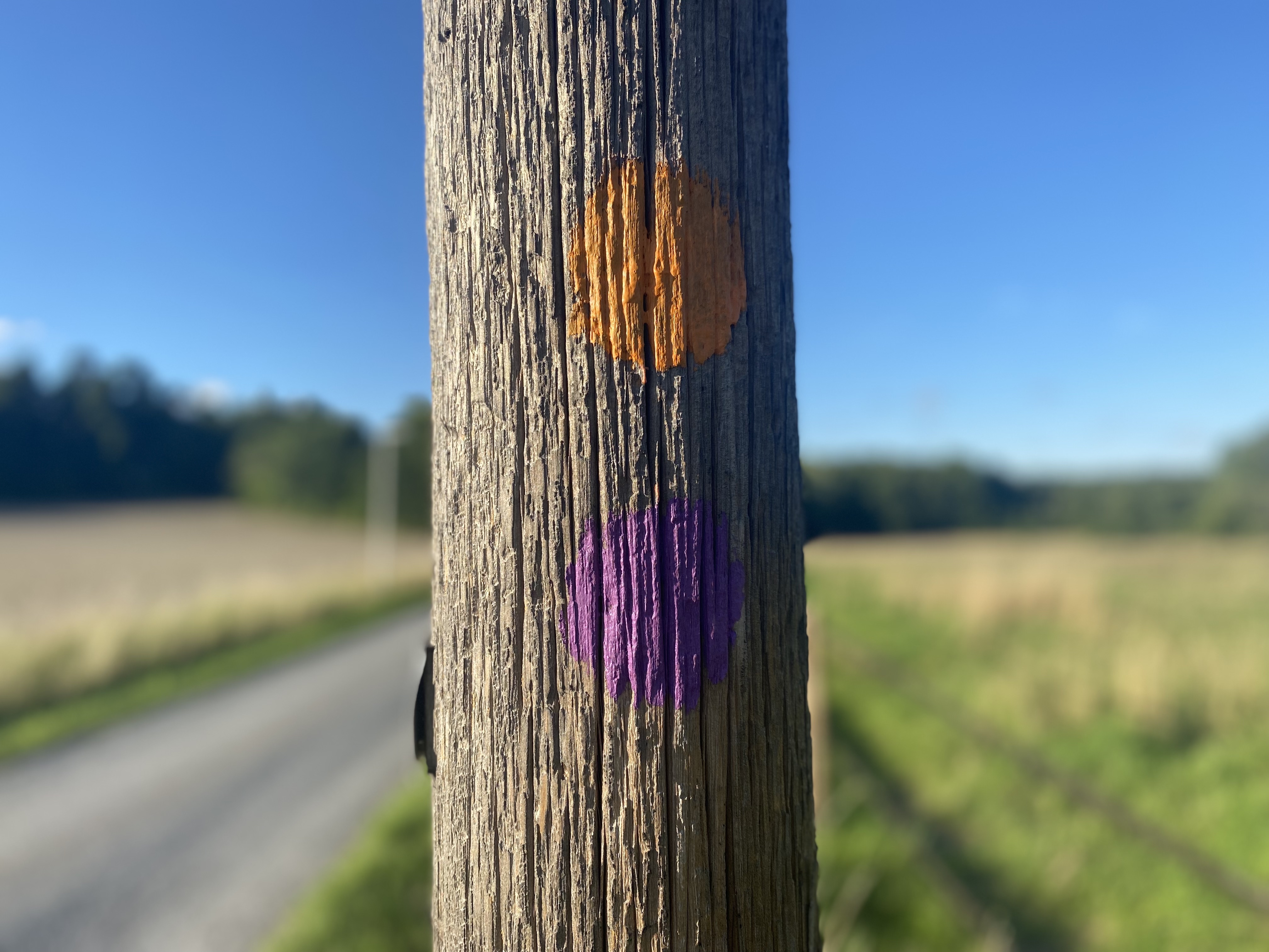 Lovön runt 4.jpeg