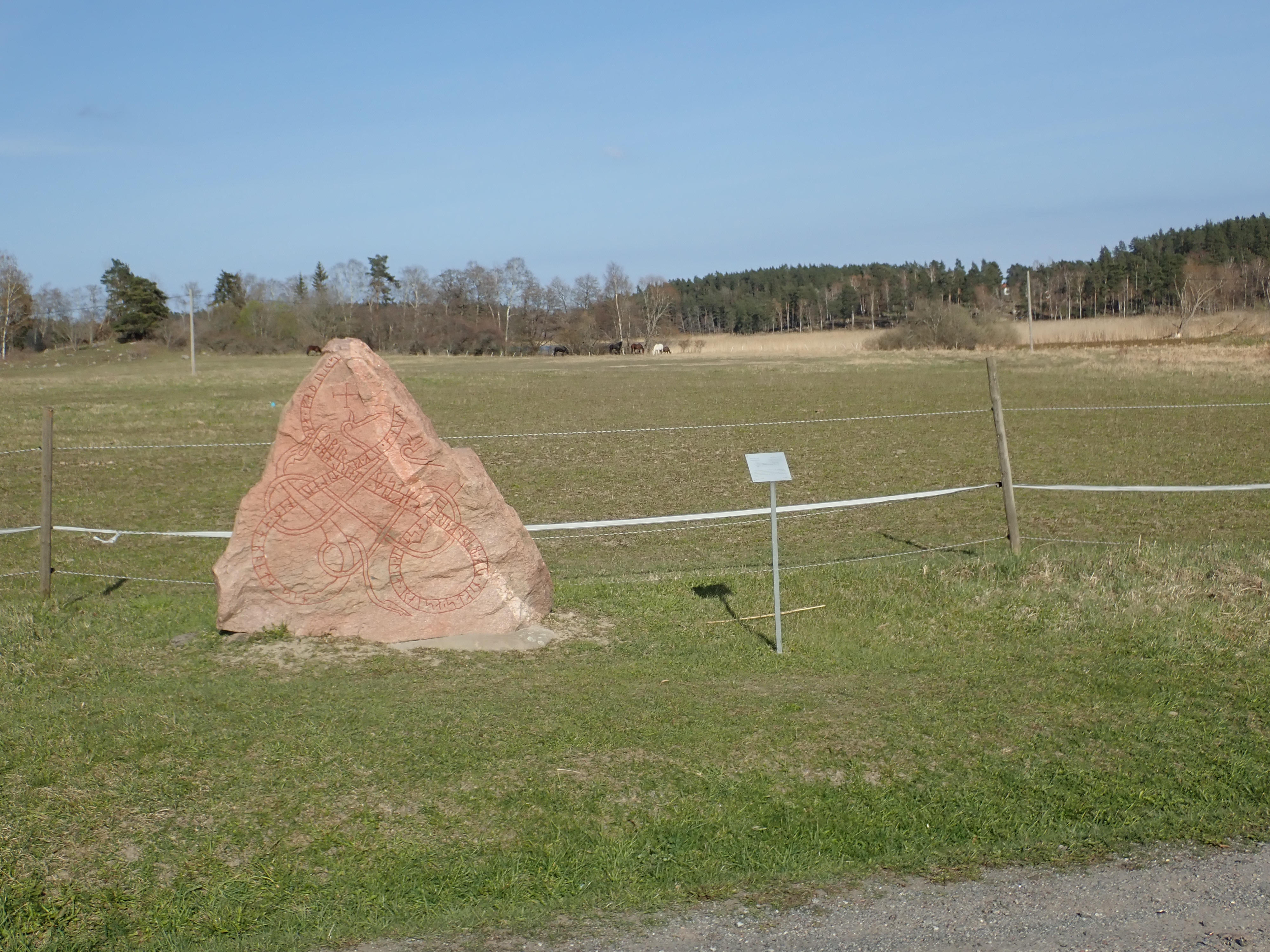 OI001196.JPG