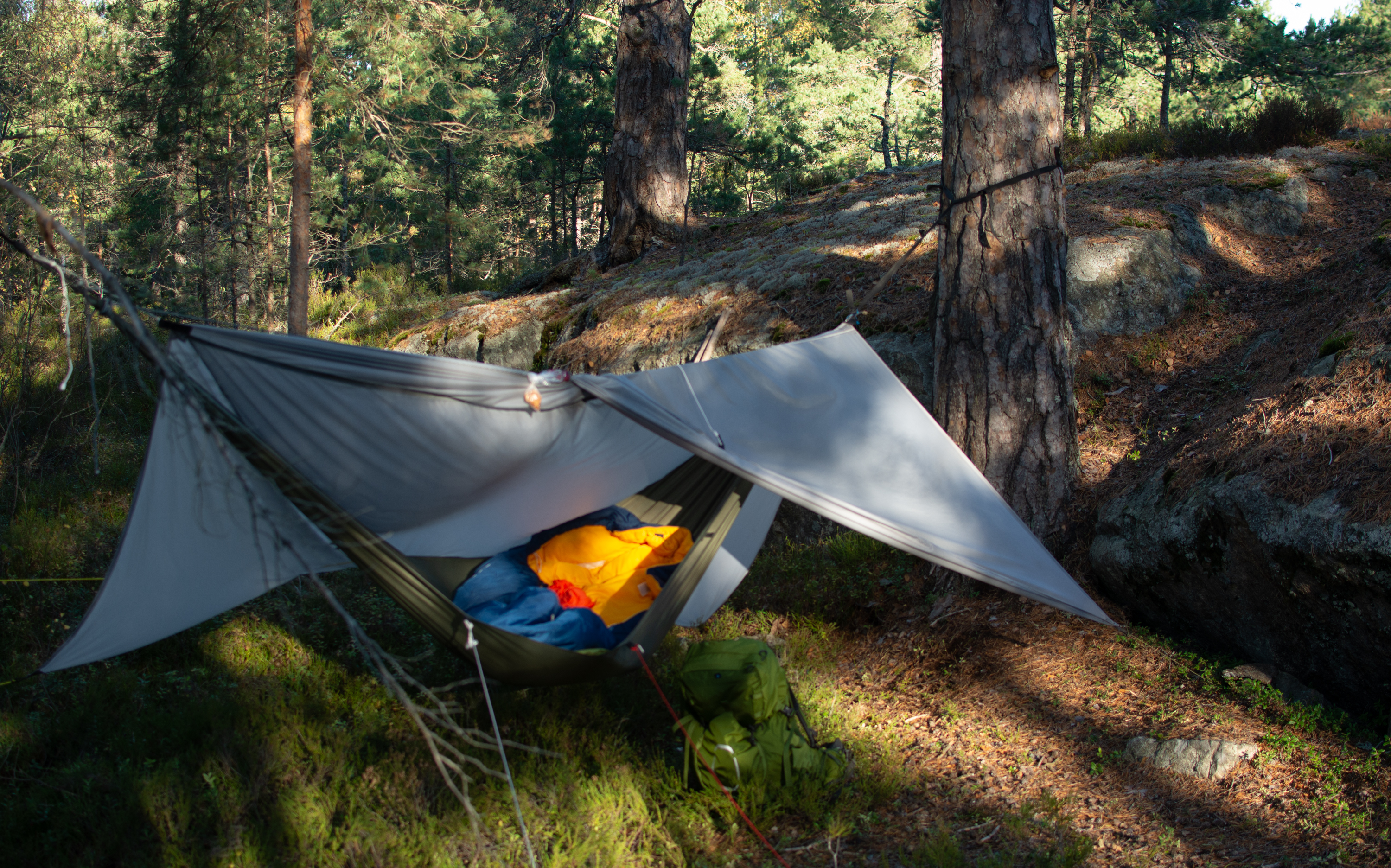 Oktober natt i skogen.jpg