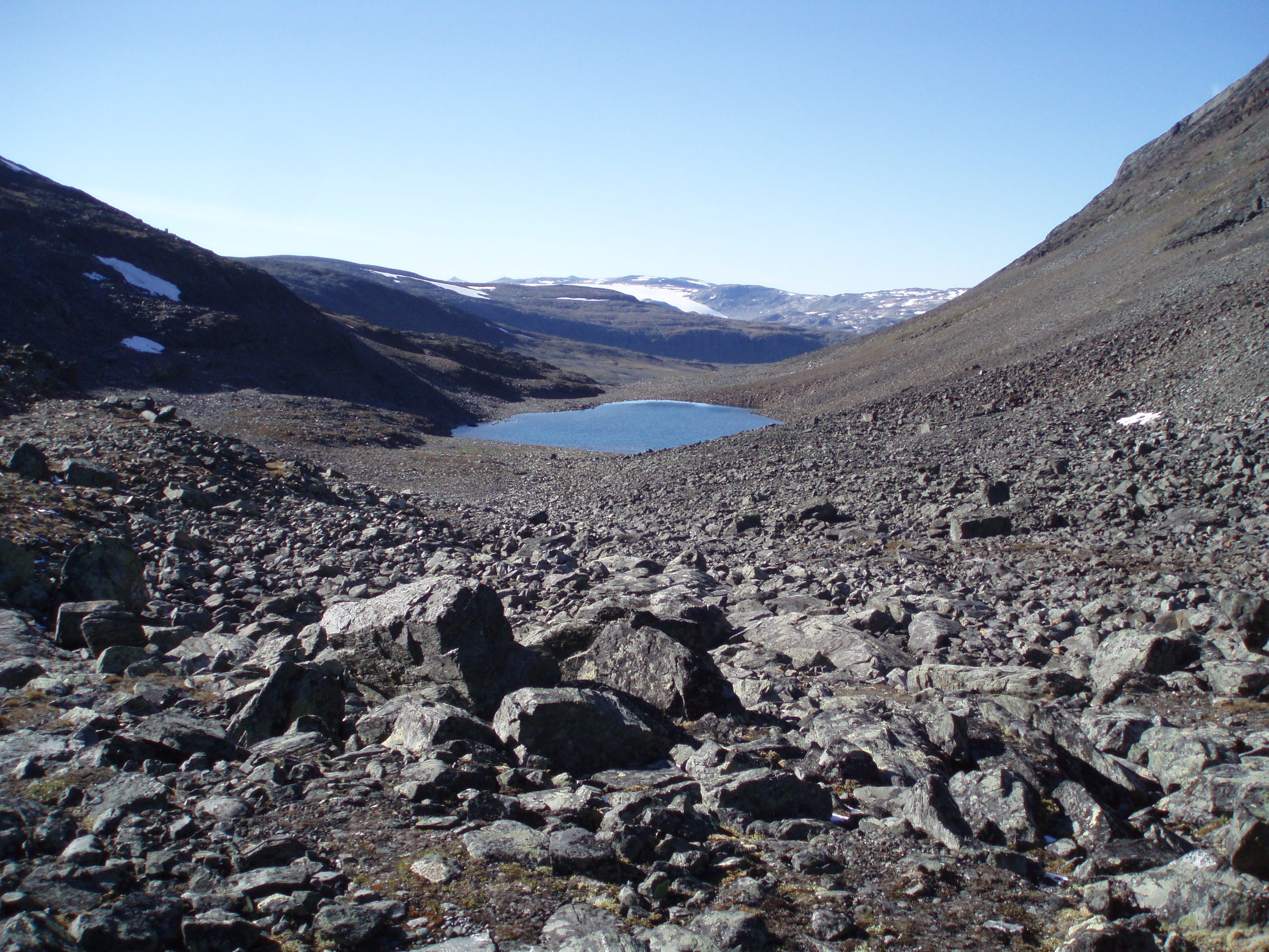 P1010234.JPG