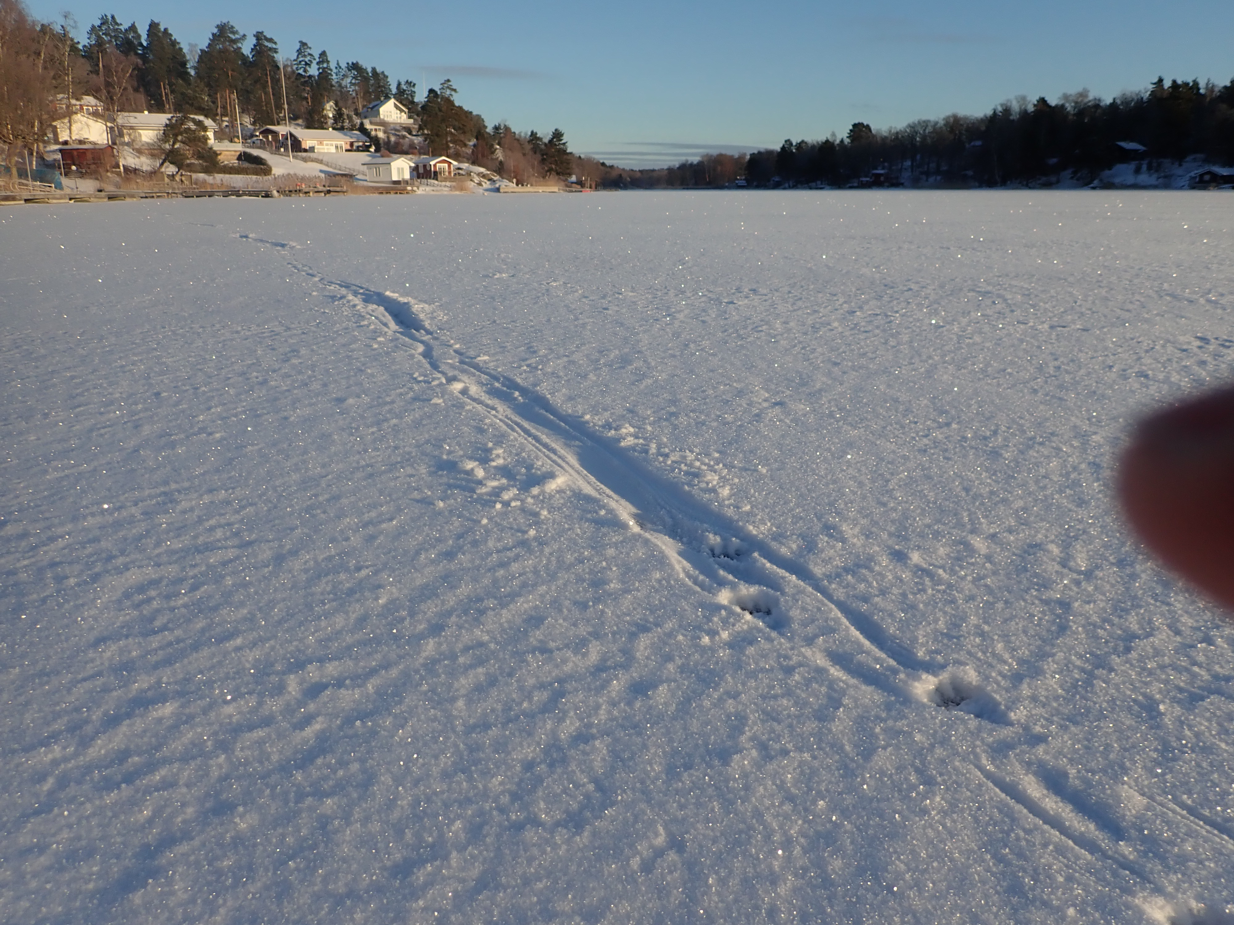 P1061724.JPG