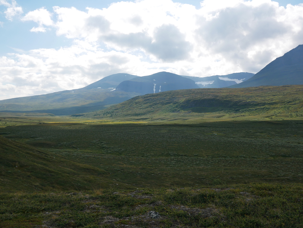 P1110646.b.jpg