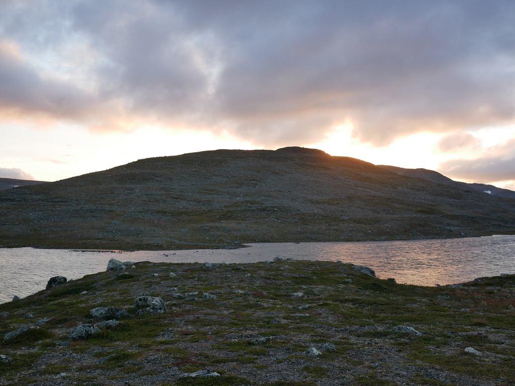 P1110788.b.jpg