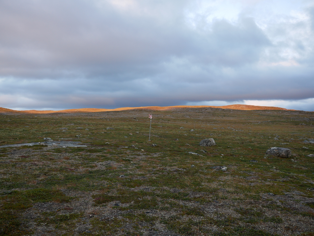P1110789.b.jpg