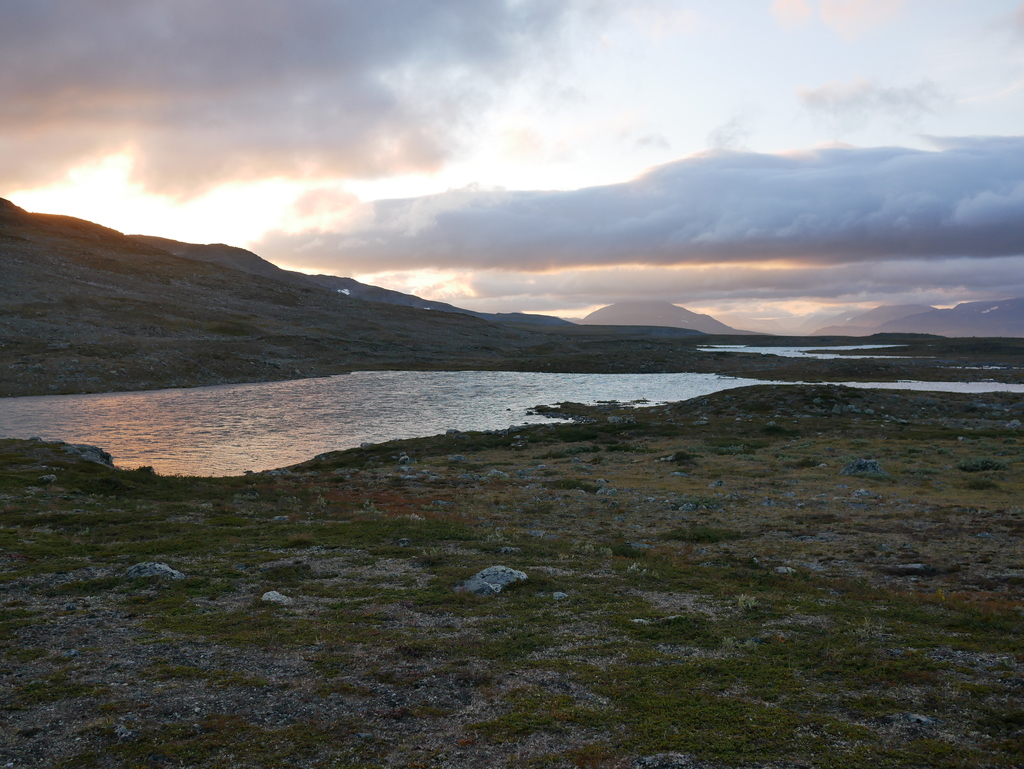 P1110791.b.jpg