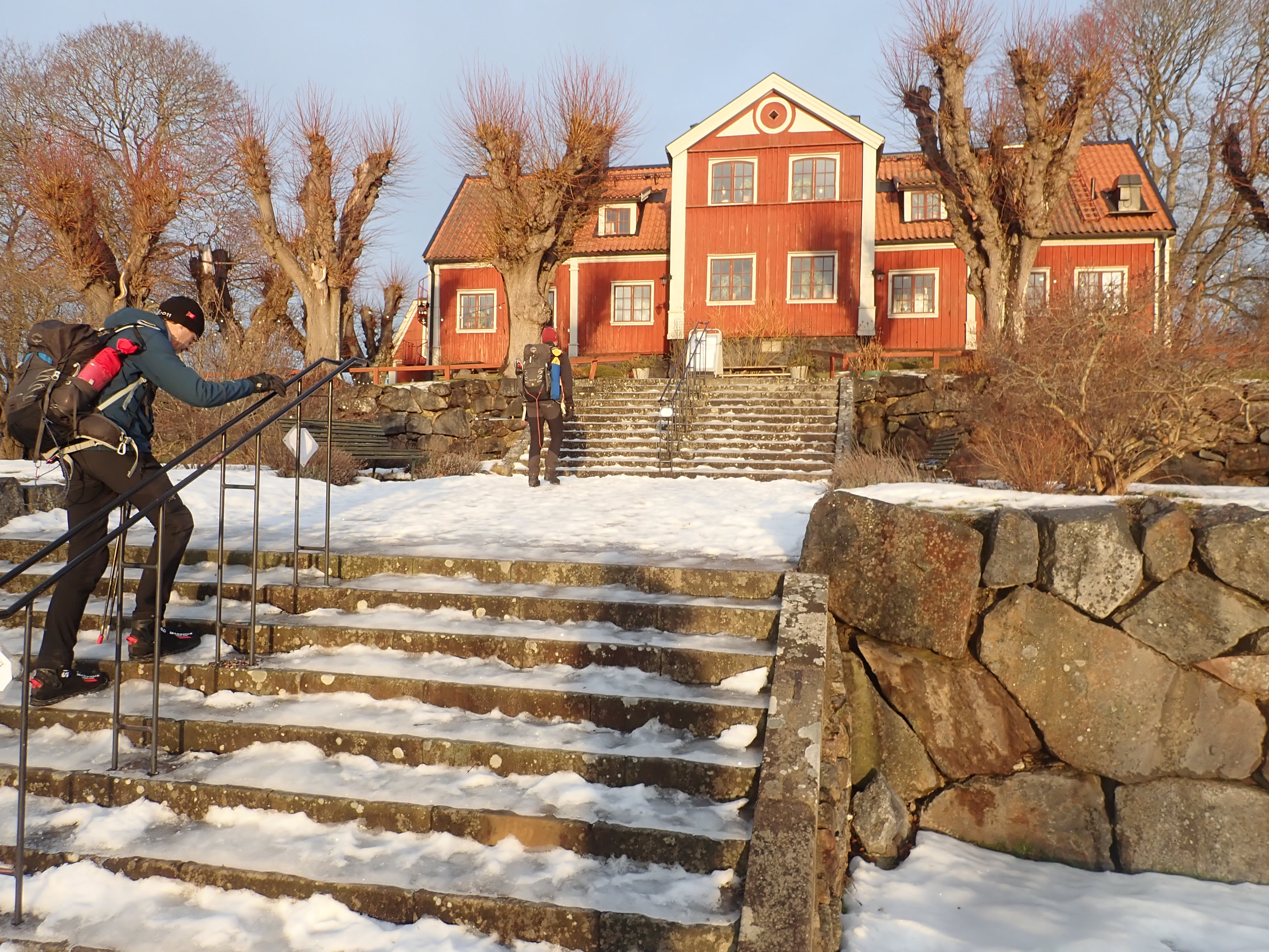 P1155643.JPG