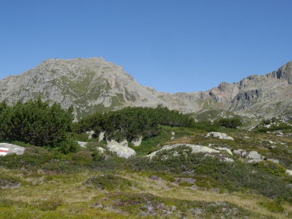 P1180284.JPG