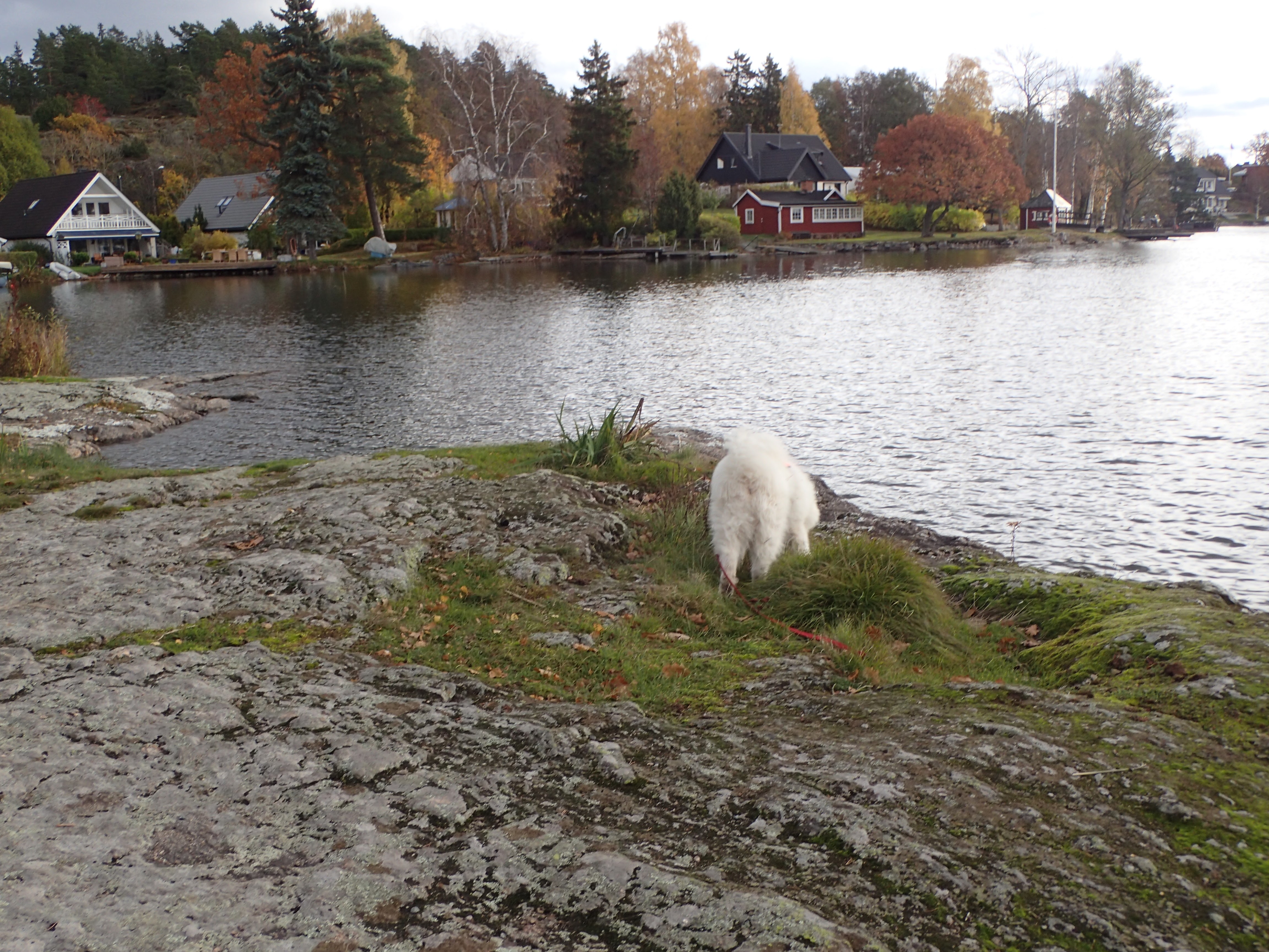 PA222270.JPG