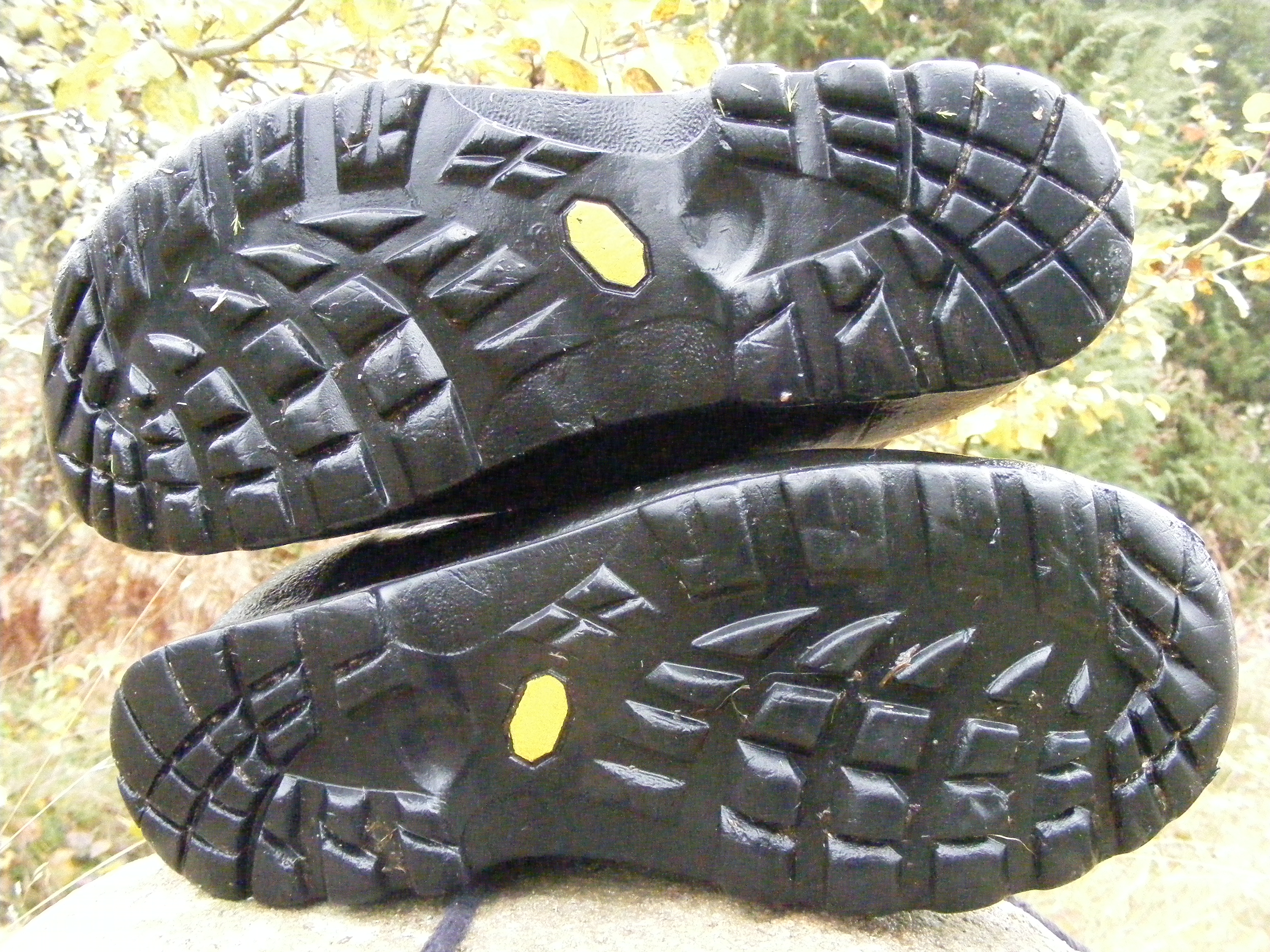 Picture 176.jpg