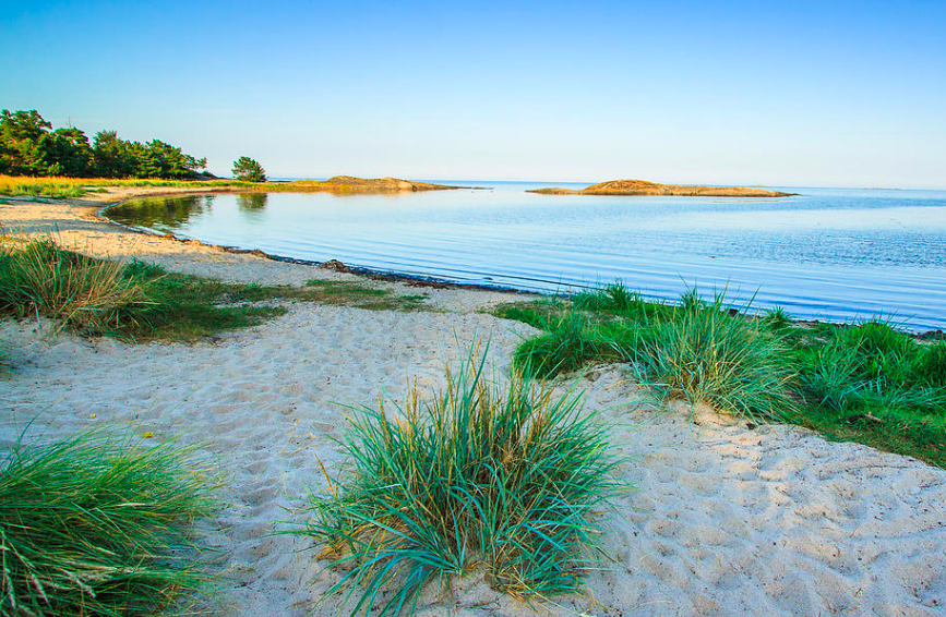 Skärmavbild 2026-04-04 kl. 22.10.46.png