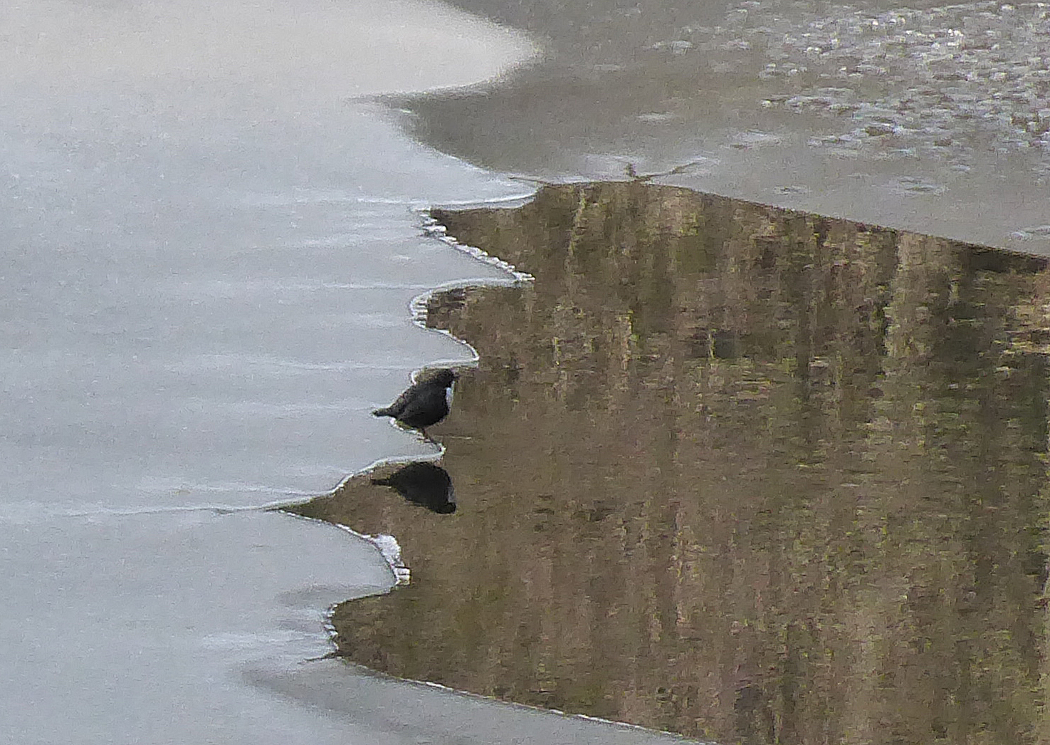 sspic_251046_orig.jpg