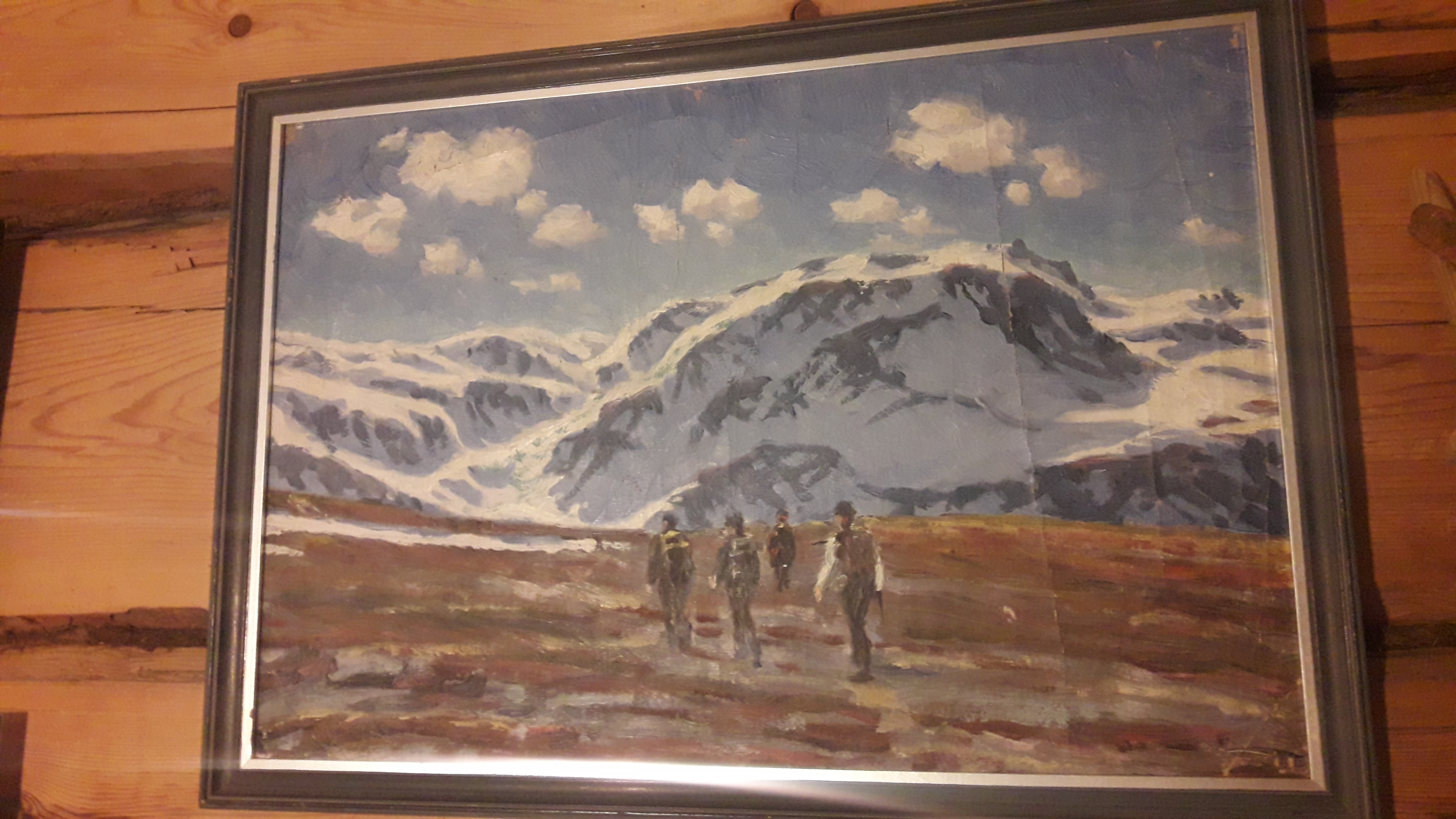 vilka fjäll.jpg