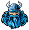 BlueVikingQuest