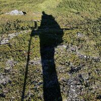 Grus-i-skorna
