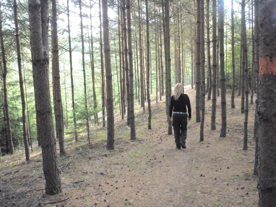 Klicka för att förstora