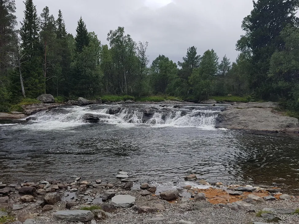 Klicka för att förstora