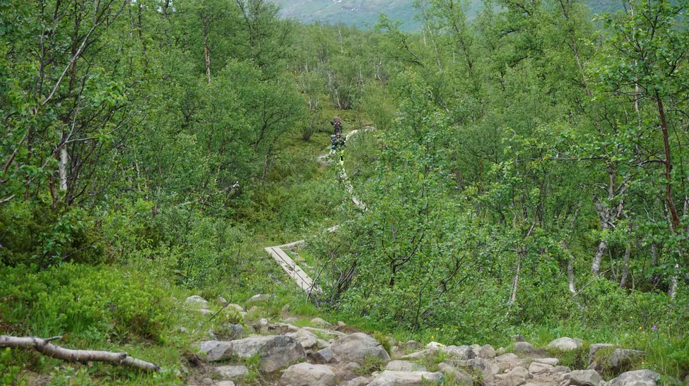 Klicka för att förstora