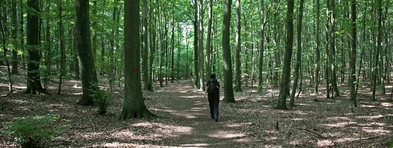 Klicka för att förstora