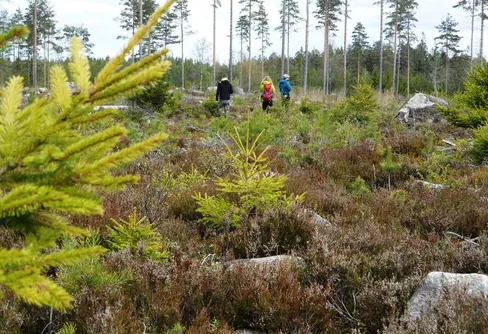 Vi firar 1:a maj med ett kärt återseende