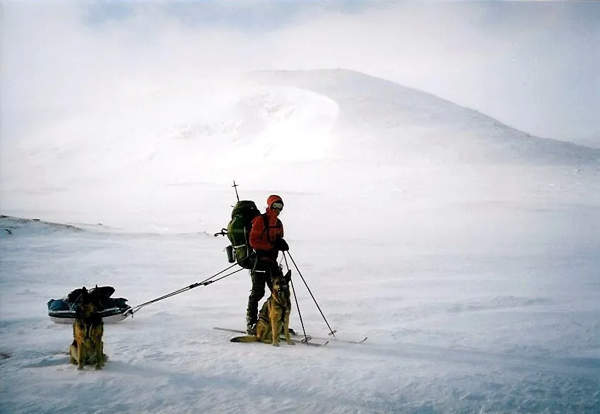 Klicka för att förstora