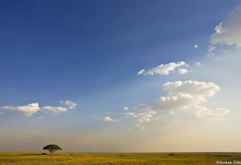 Livsbejakande problemlösning