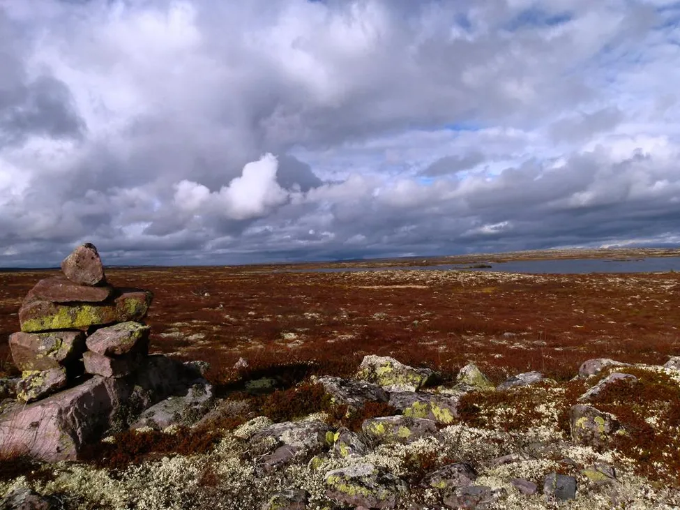 Klicka för att förstora