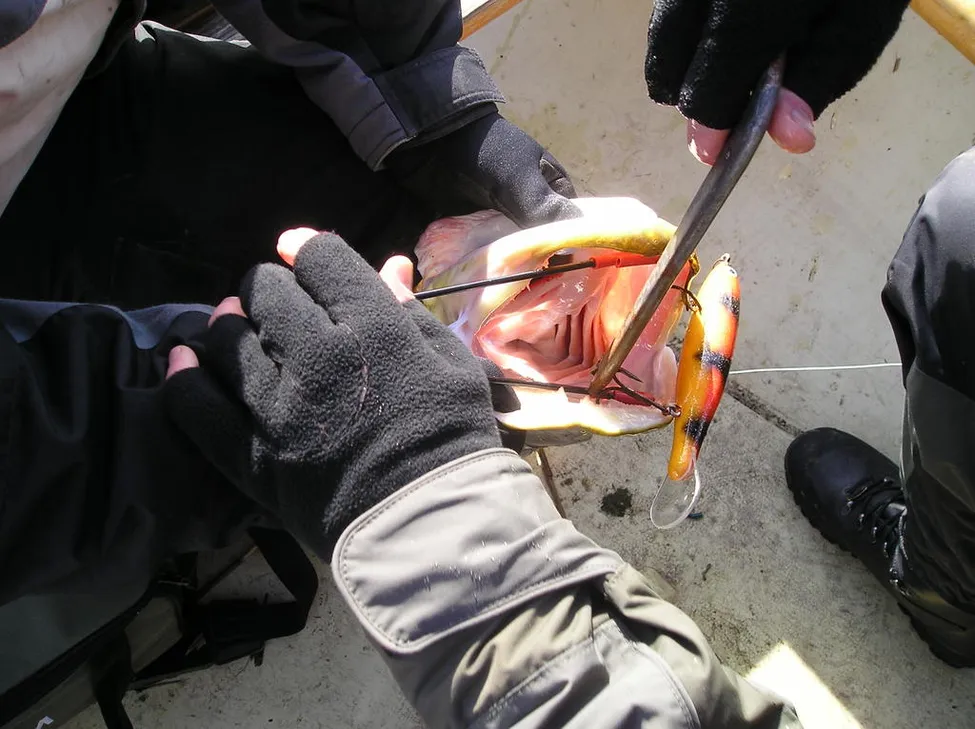 Klicka för att förstora