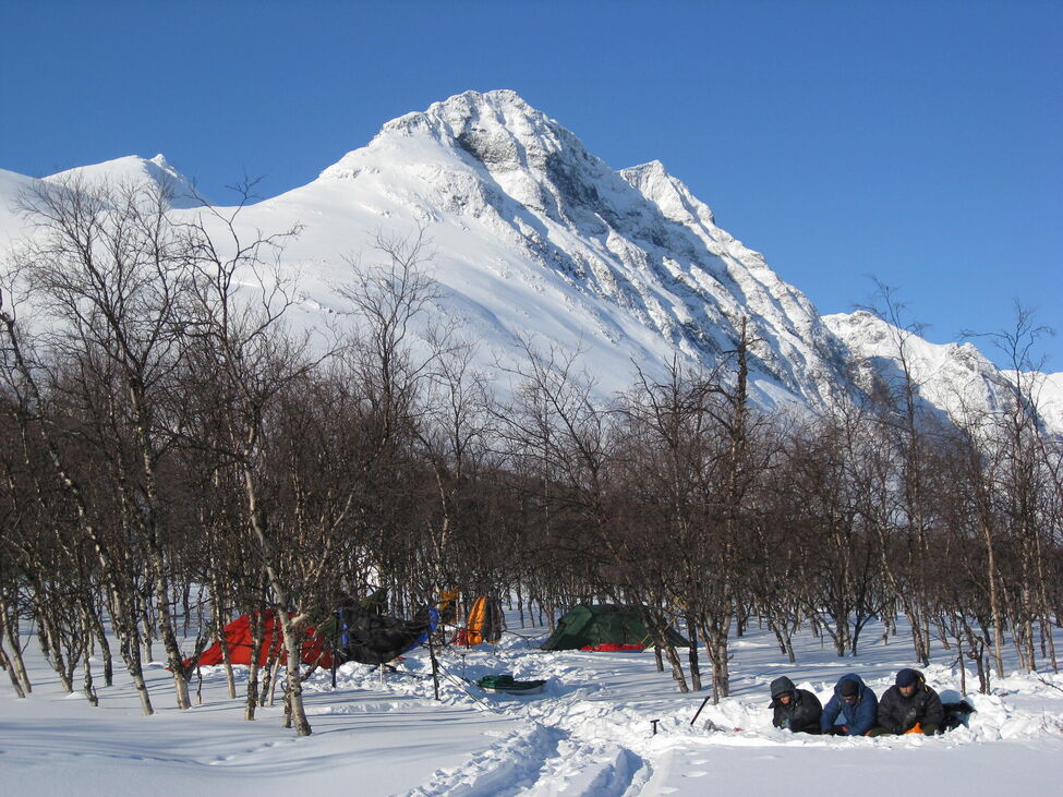 Klicka för att förstora