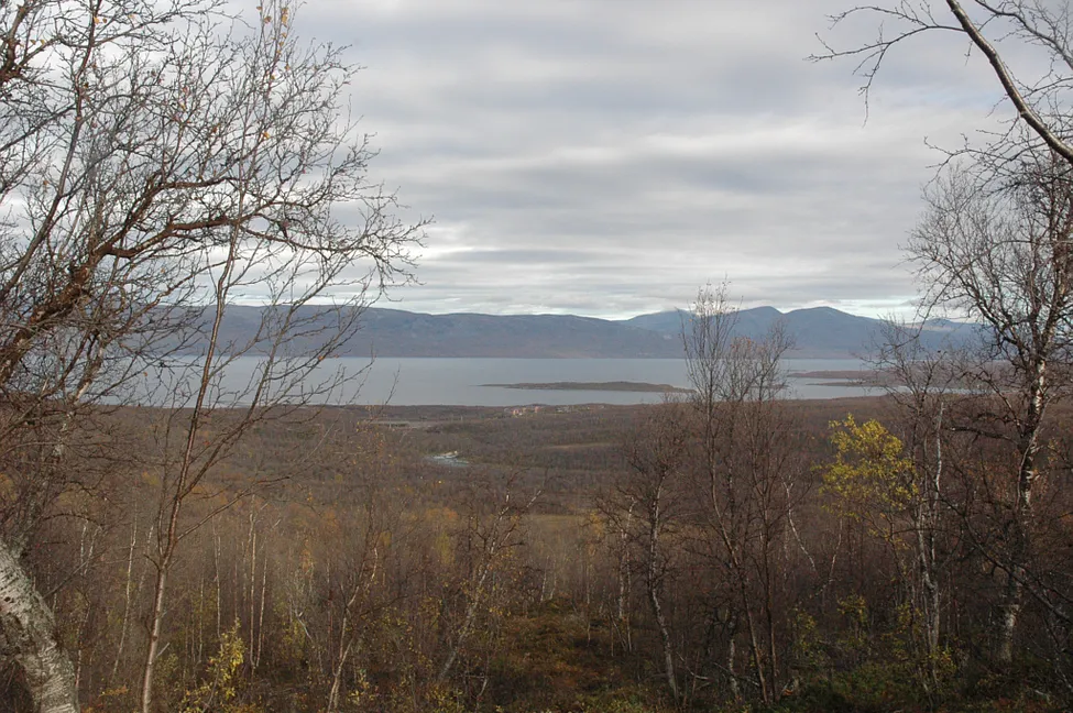 Klicka för att förstora