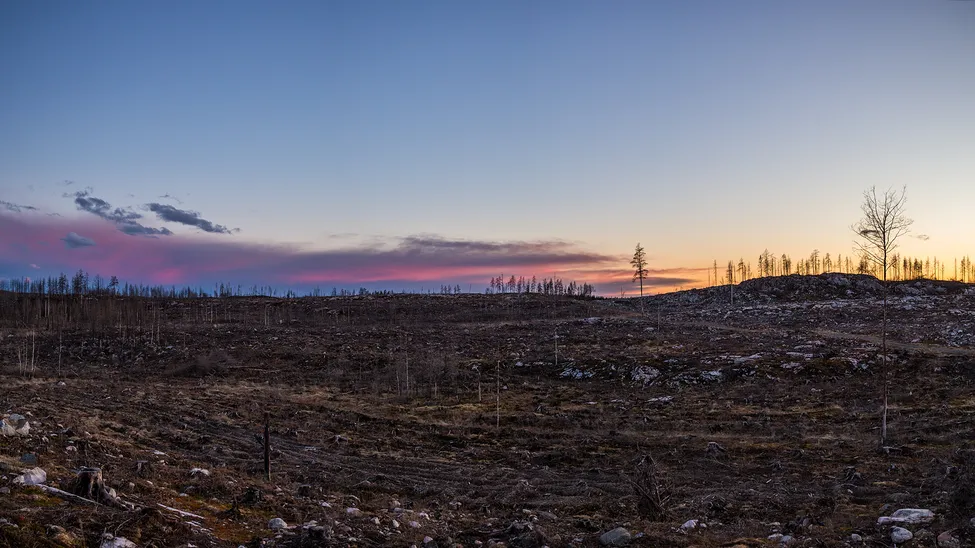 Klicka för att förstora