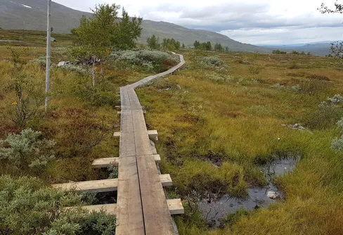 Säkerhetsmedvetandet sjunker bland fjällbesökare