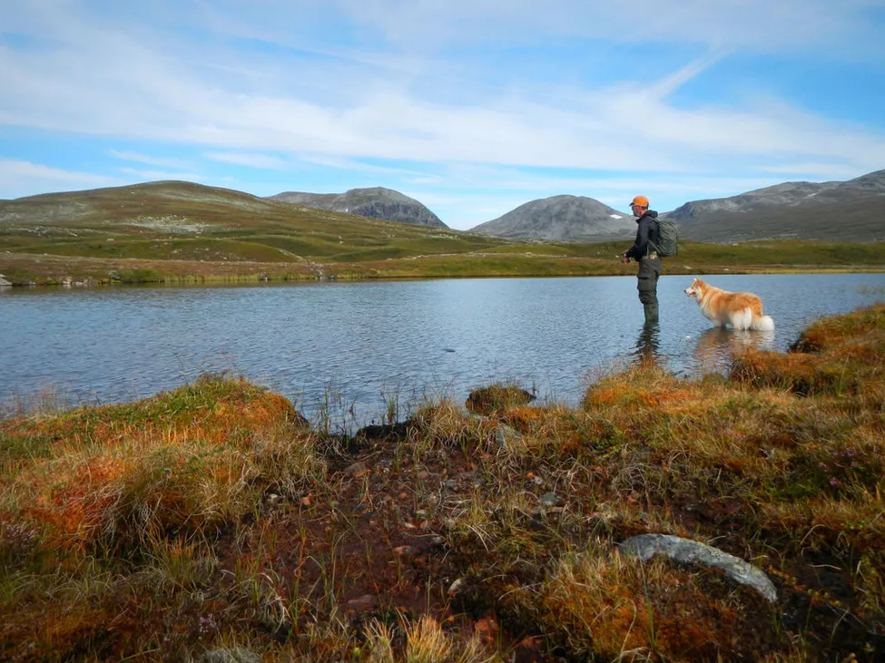 Klicka för att förstora
