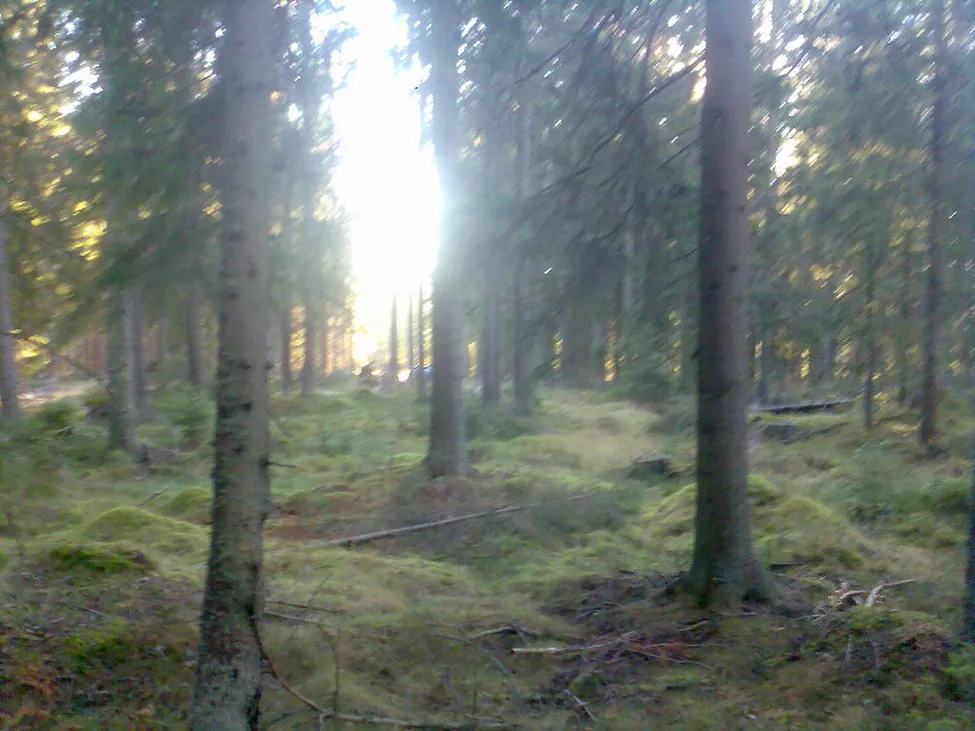 Klicka för att förstora