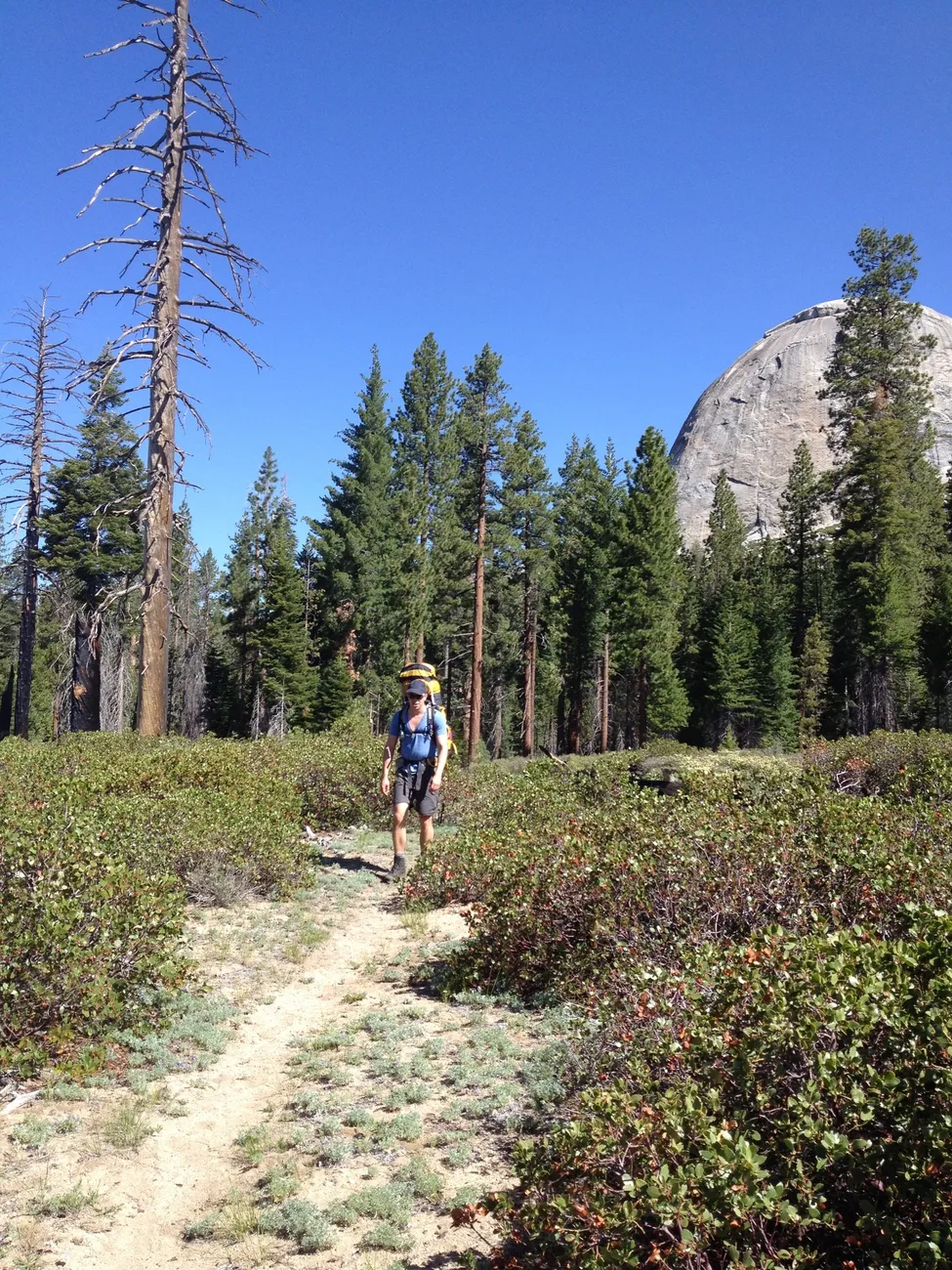 Klicka för att förstora