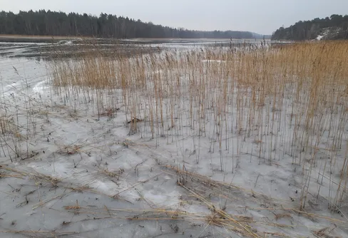 Byträsk, Geta, Åland