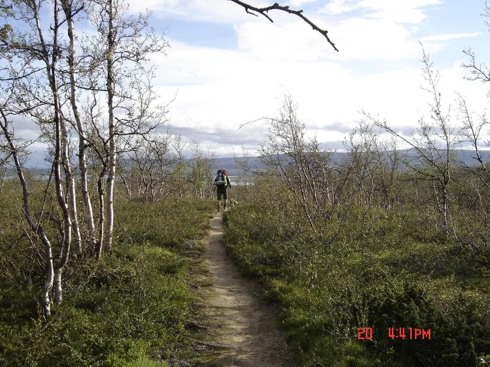 Klicka för att förstora