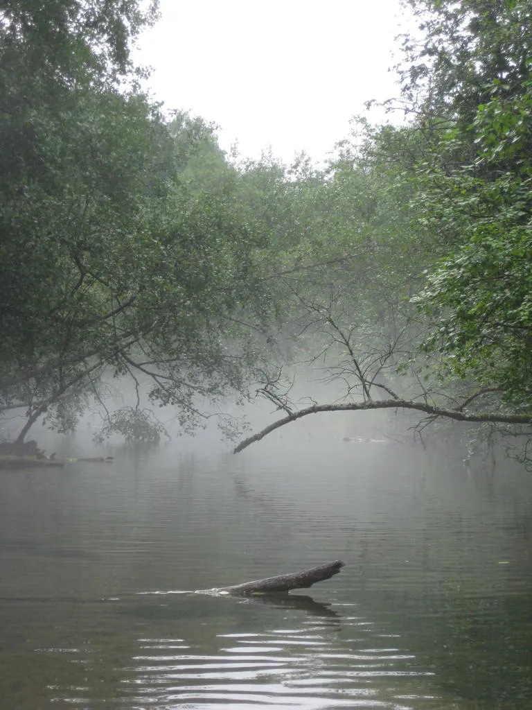 Klicka för att förstora