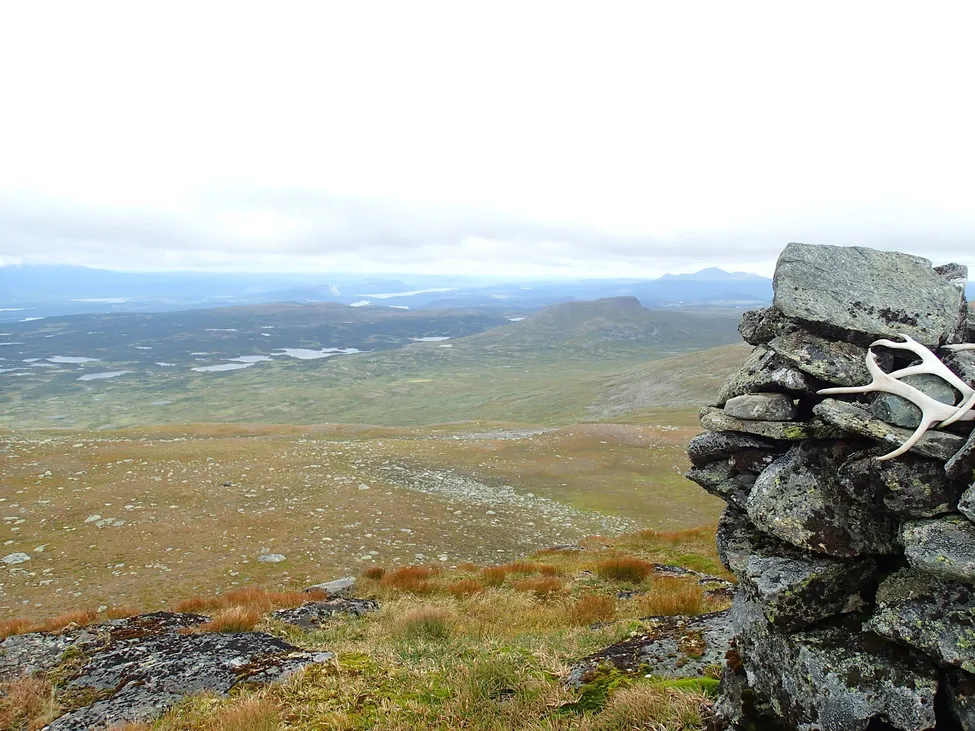 Klicka för att förstora