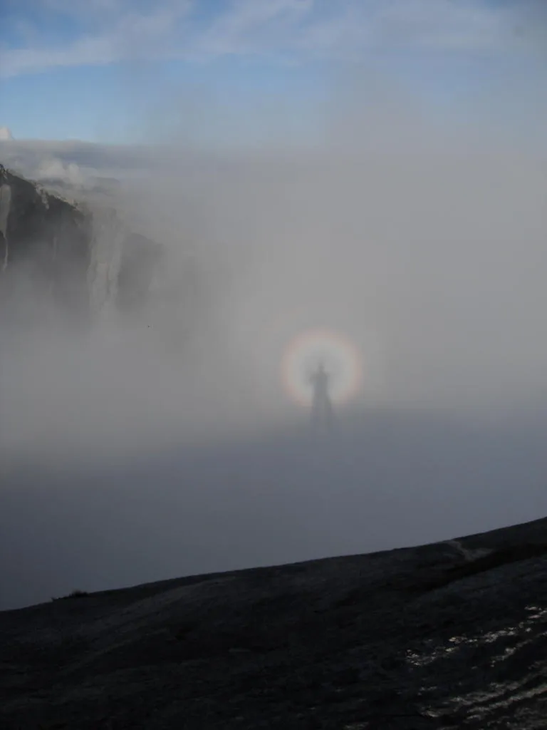 Klicka för att förstora