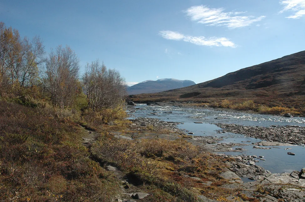 Klicka för att förstora