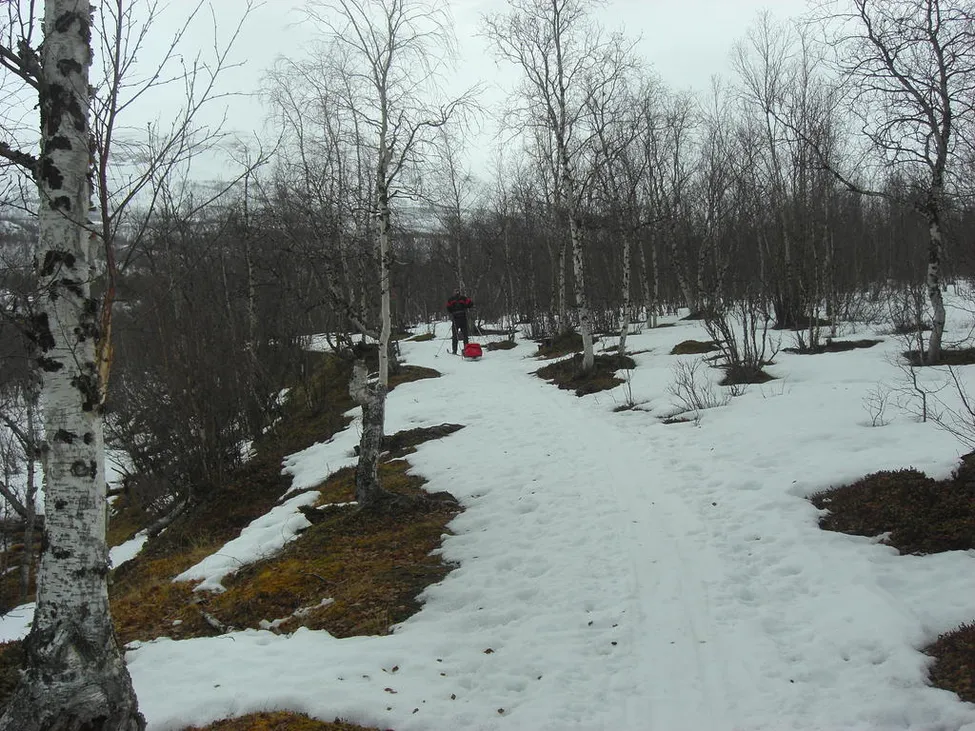 Klicka för att förstora