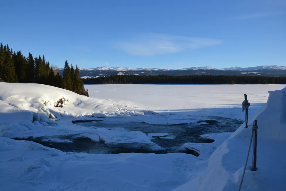 Klicka för att förstora